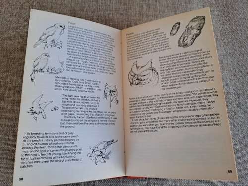Struik Pocket Guides for Southern Africa Birds of Prey