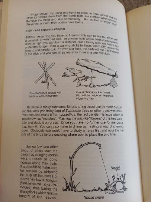 Earthlink Survival Guide to the Outdoors - James Clarke
