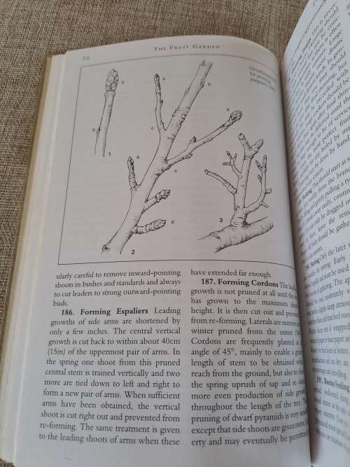 The Hellyer Pocket Guide - Quick reference gardening advice