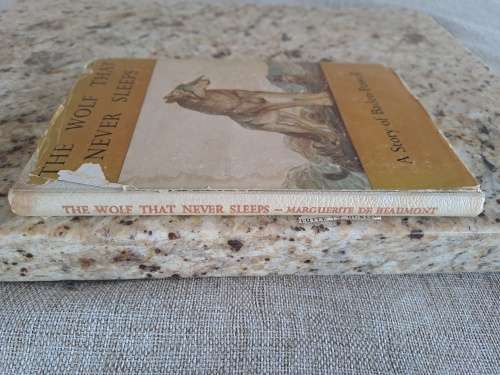 The Wolf That Never Sleeps - A Story of Baden-Powell