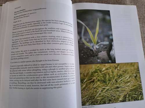 Problem Plants of South Africa - Clive Bromilow