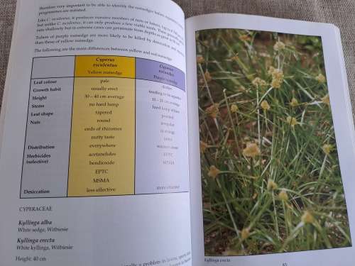 Problem Plants of South Africa - Clive Bromilow