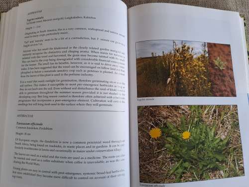 Problem Plants of South Africa - Clive Bromilow