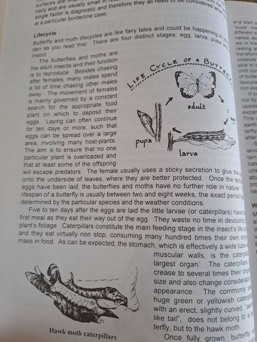 Bring Nature Back To Your Garden: A Wildlife Handbook - Charles & Julia Botha