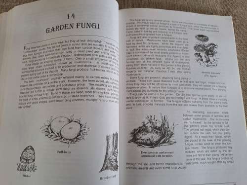 Bring Nature Back To Your Garden: A Wildlife Handbook - Charles & Julia Botha