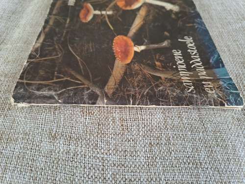 Mushrooms and Toadstools / Sampiome en Paddastoele