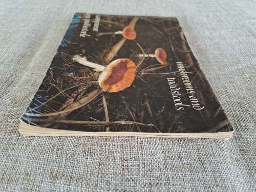 Mushrooms and Toadstools / Sampiome en Paddastoele