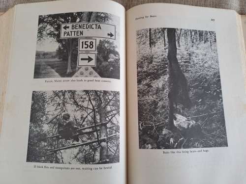 Archery From Golds to Big Game - Keith C. Schuyler