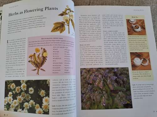 The Complete Book of Herbs - A. Clevely & K. Richmond