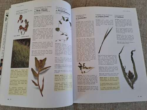 The Complete Book of Herbs - A. Clevely & K. Richmond
