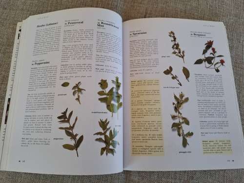 The Complete Book of Herbs - A. Clevely & K. Richmond