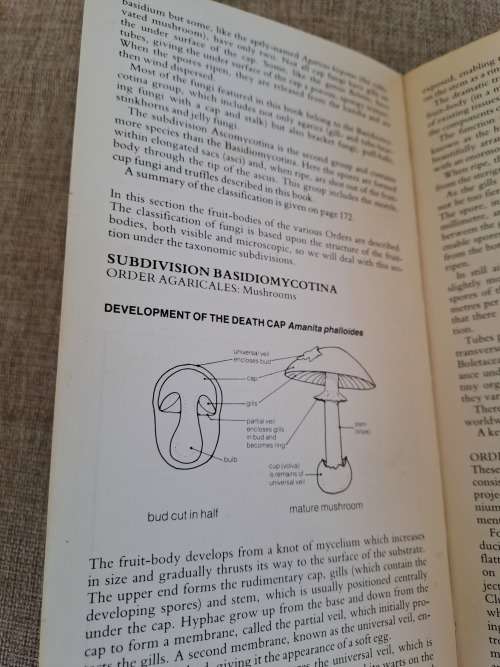 A Field Guide to the Mushrooms of South Africa
