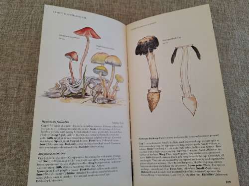 A Field Guide to the Mushrooms of South Africa