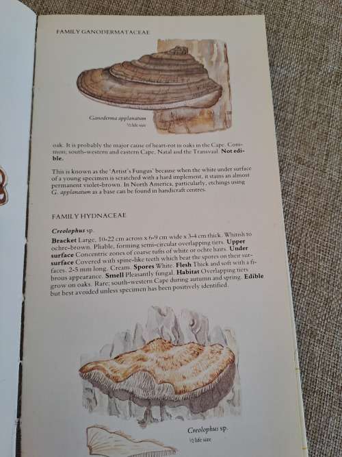 A Field Guide to the Mushrooms of South Africa