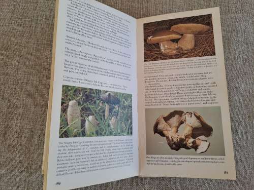 A Field Guide to the Mushrooms of South Africa