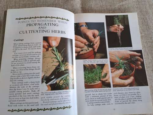 Herbs Their Cultivation and Usage