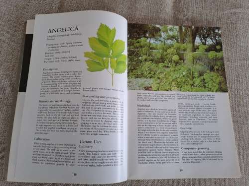 Herbs Their Cultivation and Usage