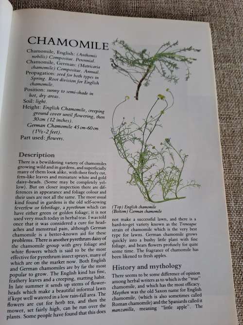 Herbs Their Cultivation and Usage