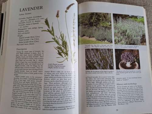 Herbs Their Cultivation and Usage