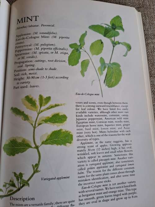 Herbs Their Cultivation and Usage