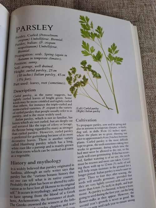 Herbs Their Cultivation and Usage