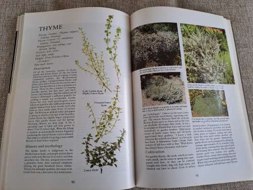 Herbs Their Cultivation and Usage