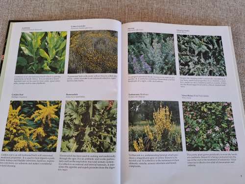 A-Z of Herbs - Margaret Roberts