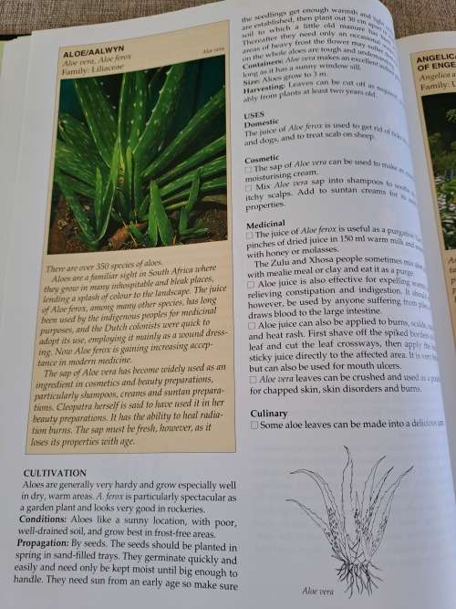 A-Z of Herbs - Margaret Roberts