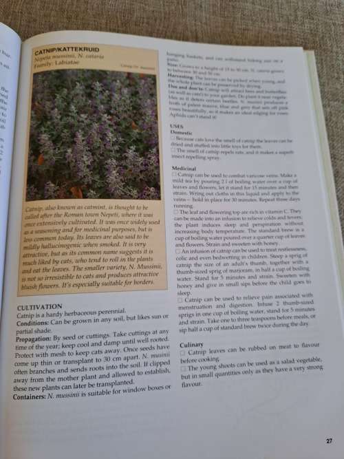 A-Z of Herbs - Margaret Roberts