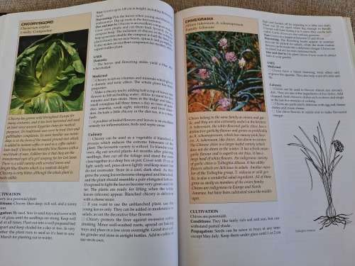 A-Z of Herbs - Margaret Roberts