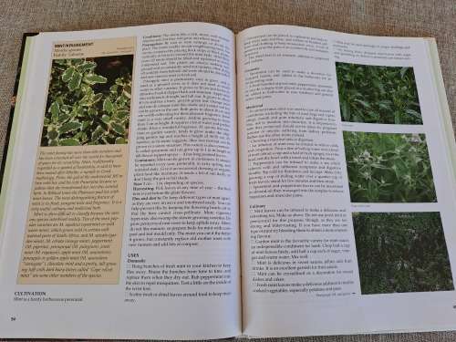 A-Z of Herbs - Margaret Roberts