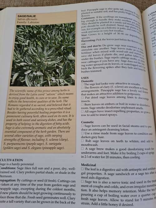 A-Z of Herbs - Margaret Roberts