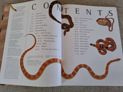 Snakes Nature Watch - Barbara Taylor