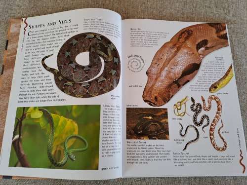 Snakes Nature Watch - Barbara Taylor