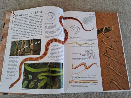 Snakes Nature Watch - Barbara Taylor
