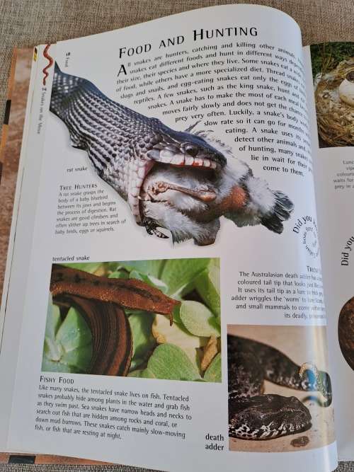 Snakes Nature Watch - Barbara Taylor