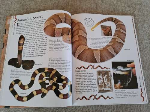 Snakes Nature Watch - Barbara Taylor