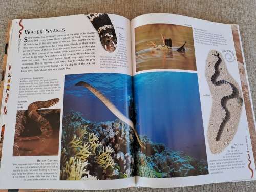 Snakes Nature Watch - Barbara Taylor