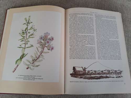 The Practical Book Of Herbs - Growing and using herbs in Southern Africa