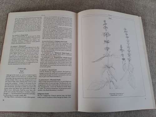 The Practical Book Of Herbs - Growing and using herbs in Southern Africa