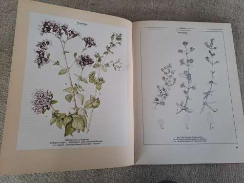 The Practical Book Of Herbs - Growing and using herbs in Southern Africa