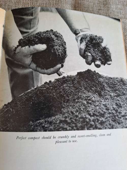 Vegetable Gardening in South Africa - Jack Hadfield