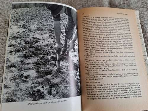 Vegetable Gardening in South Africa - Jack Hadfield