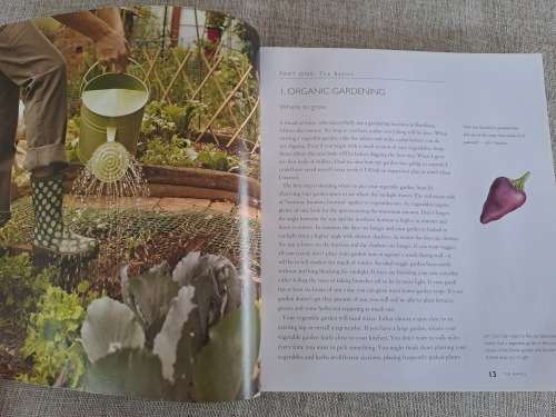 Jane`s Delicious Garden - How to grow organic vegetables and herbs in South Africa