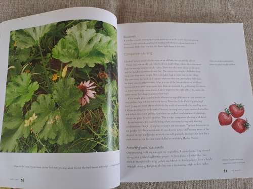 Jane`s Delicious Garden - How to grow organic vegetables and herbs in South Africa