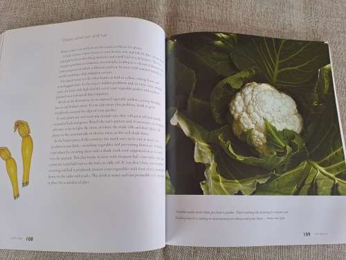 Jane`s Delicious Garden - How to grow organic vegetables and herbs in South Africa