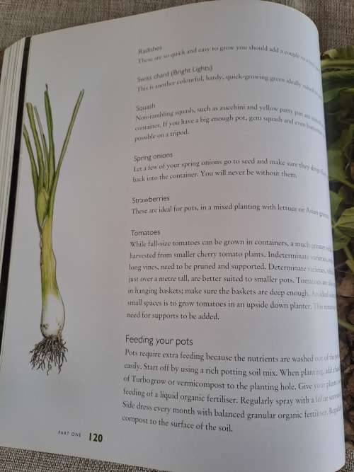 Jane`s Delicious Garden - How to grow organic vegetables and herbs in South Africa