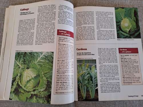 Vegetable Gardening Illustrated