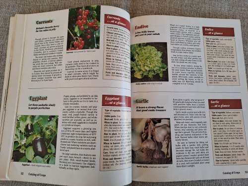 Vegetable Gardening Illustrated