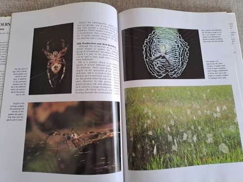 Spiders A Portrait Of The Animal World - Paul Sterry